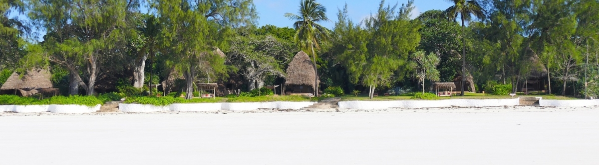 Panorama Kenia Diani Beach Strand (Alexander Mirschel)  Copyright 
Informazioni sulla licenza disponibili sotto 'Prova delle fonti di immagine'